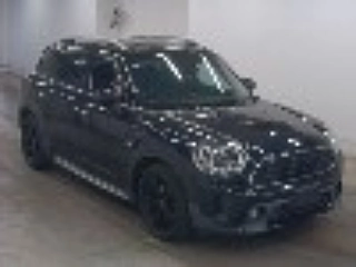 Mini Other