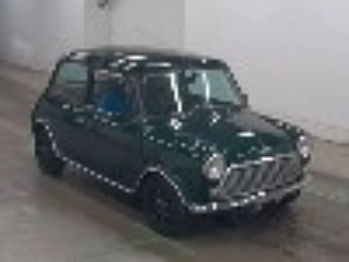 Rover Mini