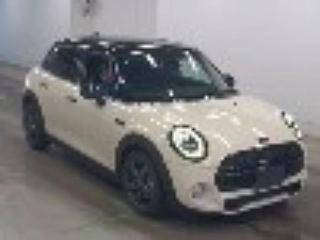Mini Other